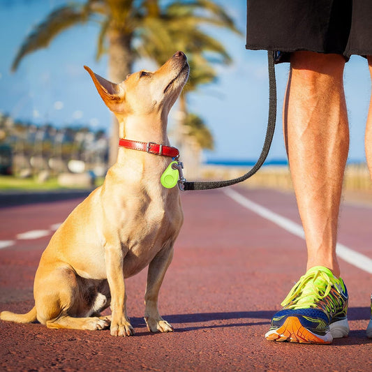Rastreador Para Mascotas de GPS Inteligente